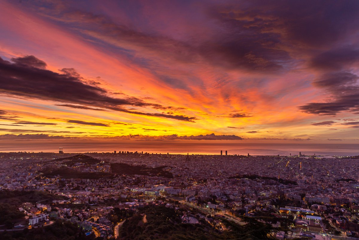 Alfons Puertas tweet media