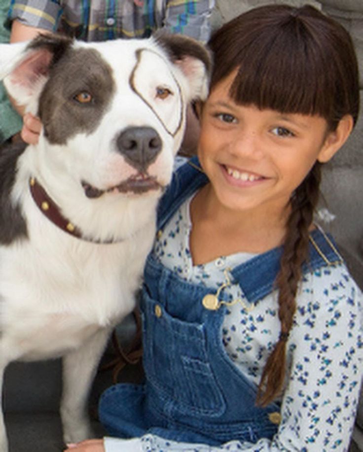 Vᥲᥣᥱᥒtιᥒᥲ / 𝑳𝒖𝒊𝒔. tweet media