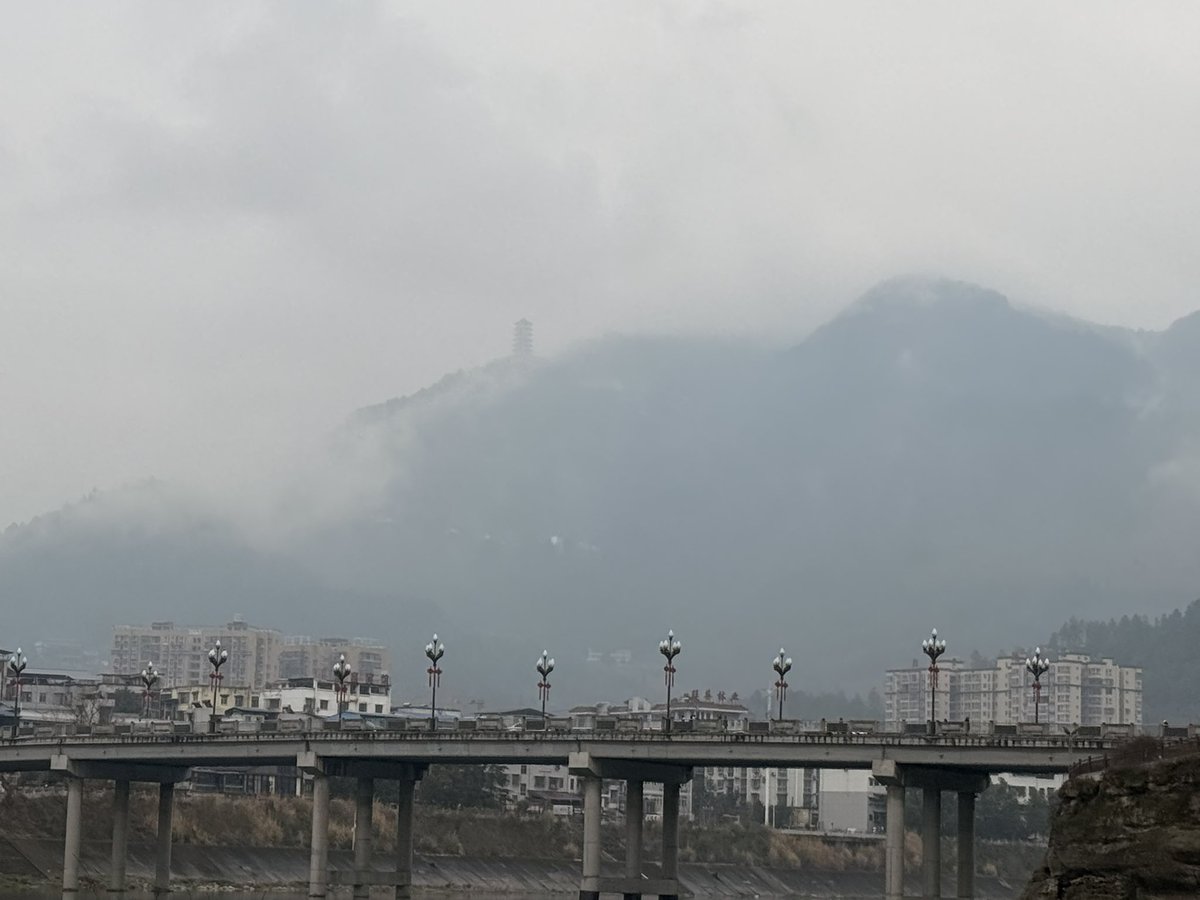 茶不思 tweet media