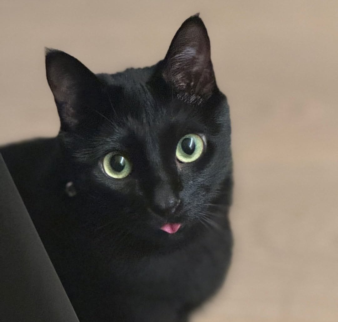 sugatradamus's tweet image. 260217 agustd instagram post

Happy new year 🐈‍⬛