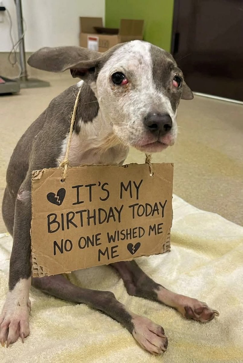 Kristinartz's tweet image. 