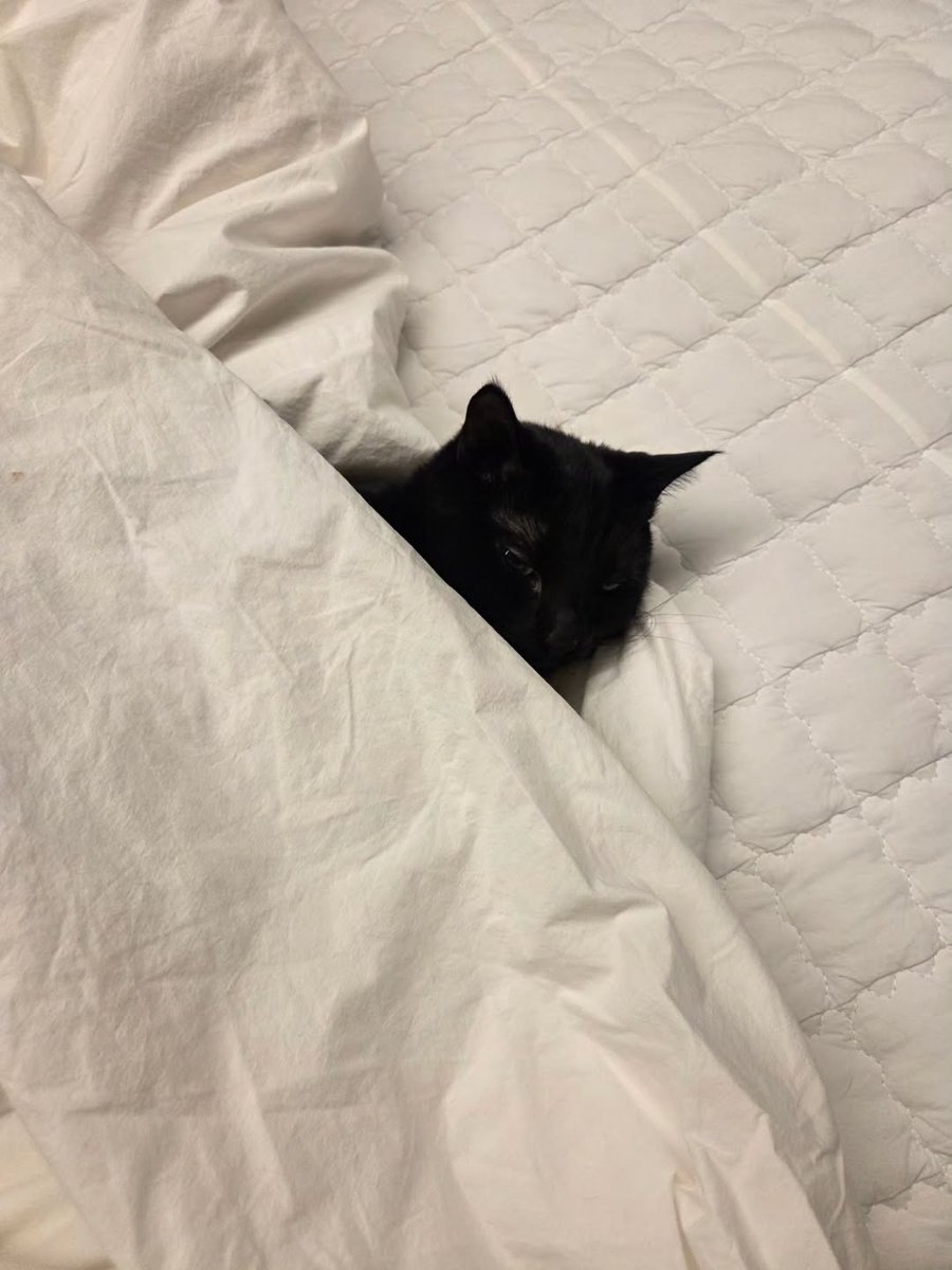 BTS_twt_AGSTD's tweet image. 새복많 🐈‍⬛