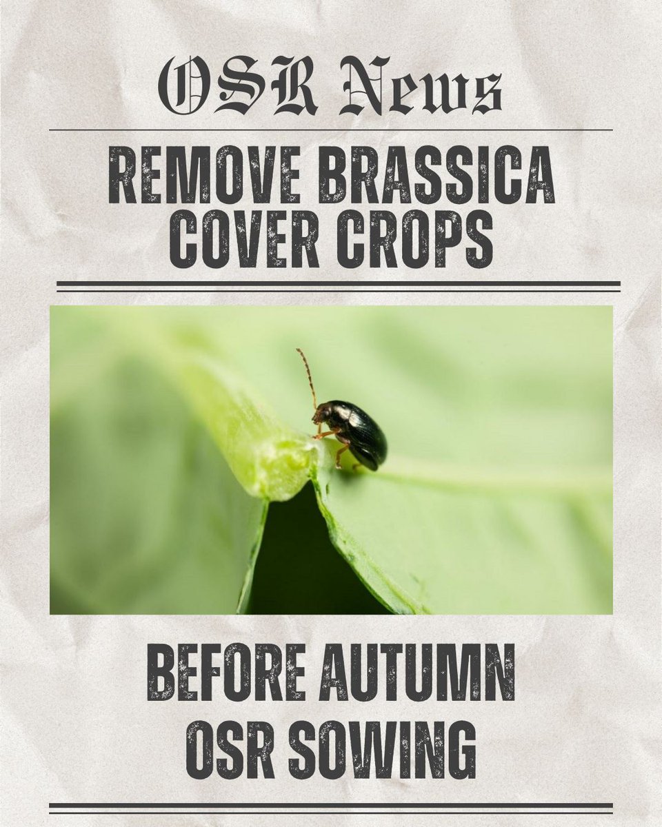 Premium Crops tweet media