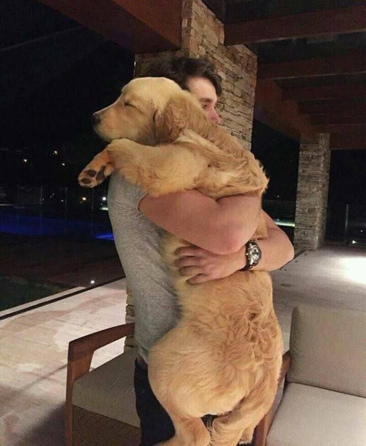 everything dogs 🐶 (@everythingdogss) on Twitter photo 