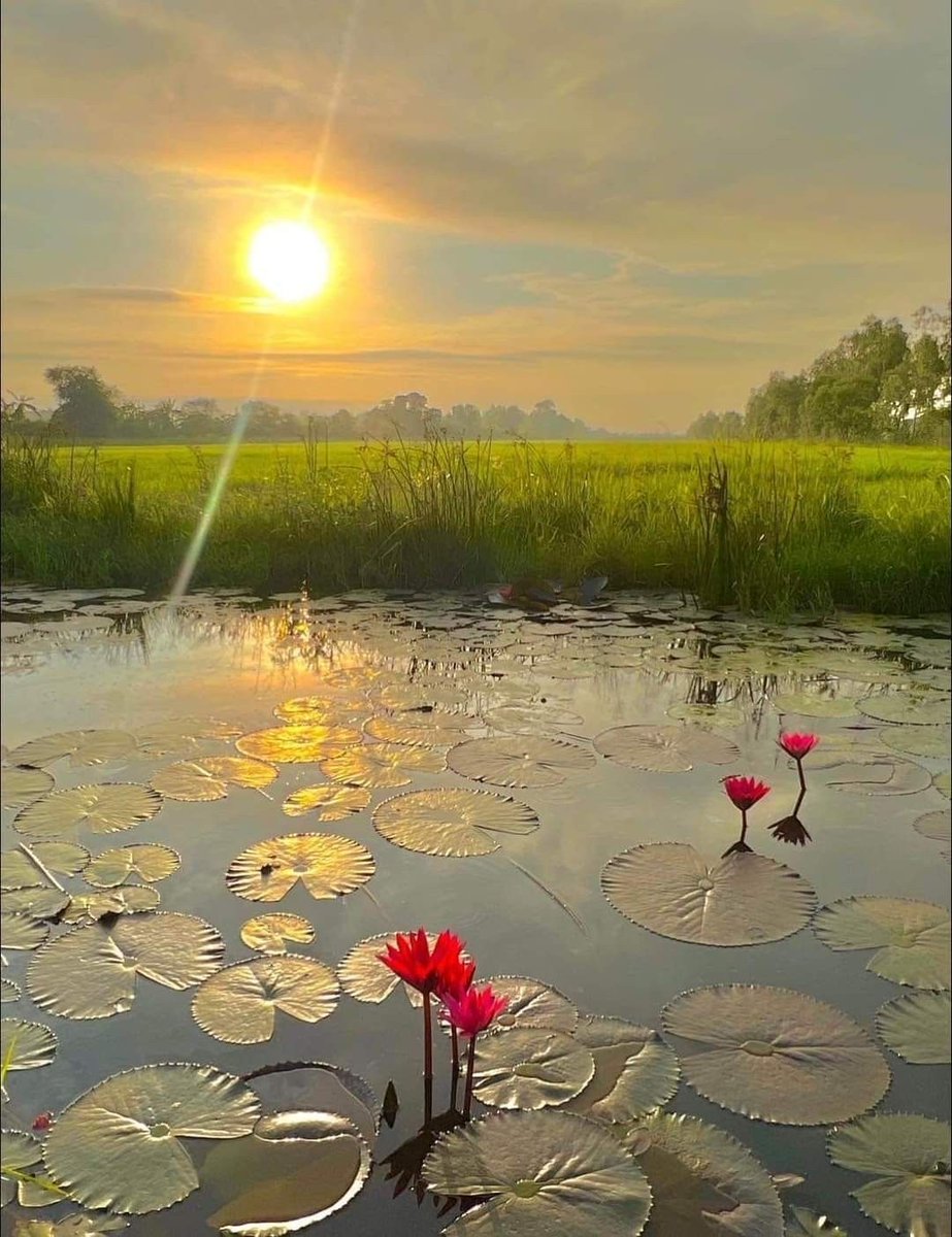 Every morning we are born again. 
What we do today is what matters most.

The Buddha