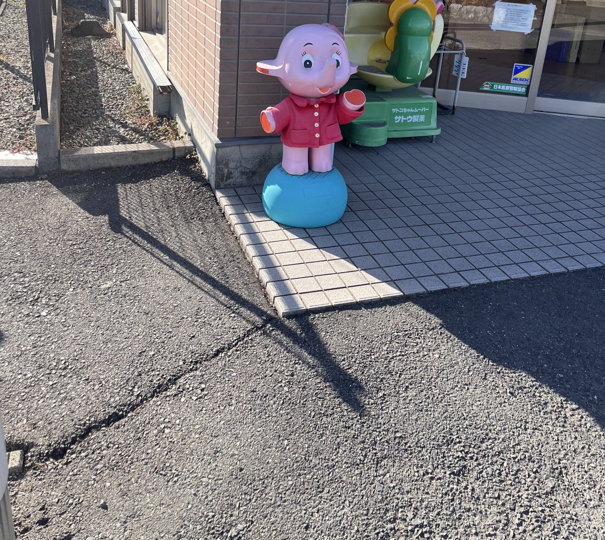 apitarou09's tweet photo. 散歩中(バイト中)に見つけた。これ絶滅危惧種らしい https://t.co/vJOkrNkZkv