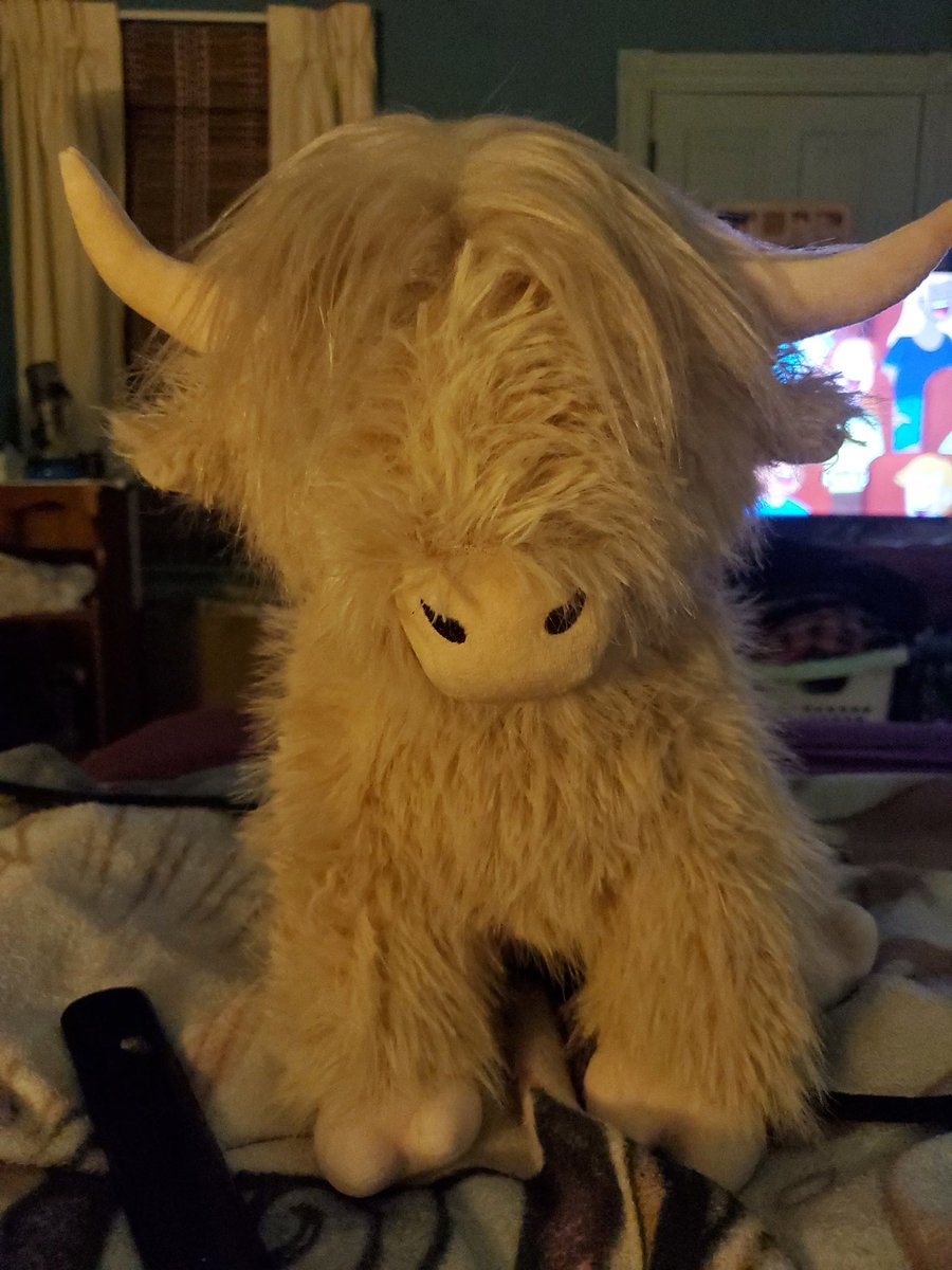 AzeraPlays โ๐ผโ๐ฝโ๐พโ๐ฟ๐ณ๏ธโ๐๐ณ๏ธโโง๏ธ๐ต๐ธ๐บ๐ฆ๐ดโโ ๏ธ tweet media