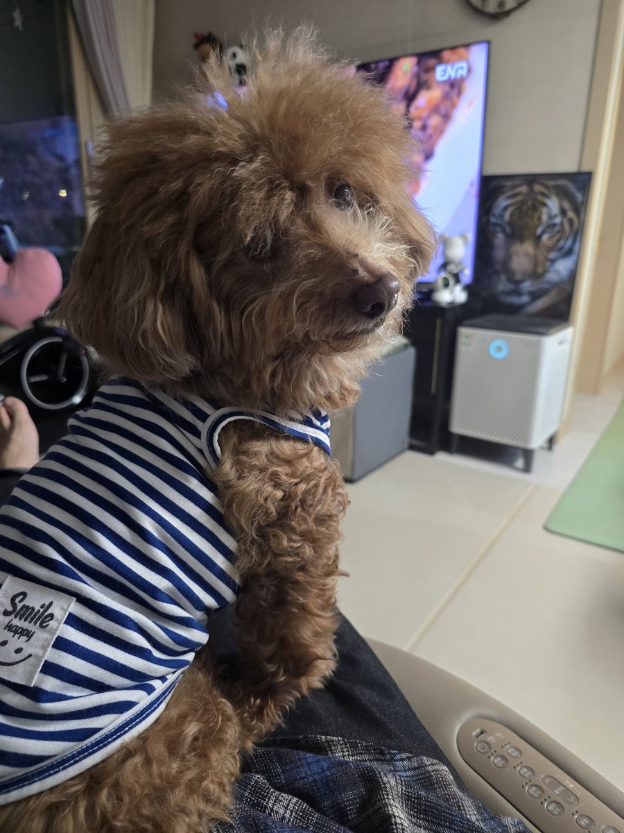 새해 복 많이 받으세요 :)