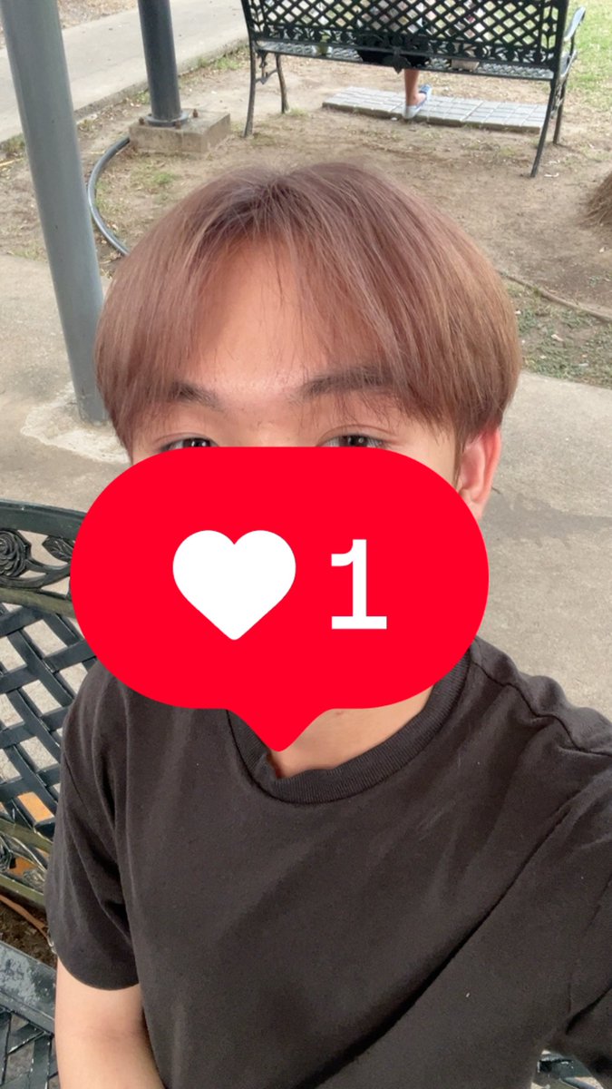 คิมม่อนเป็นแมว tweet media