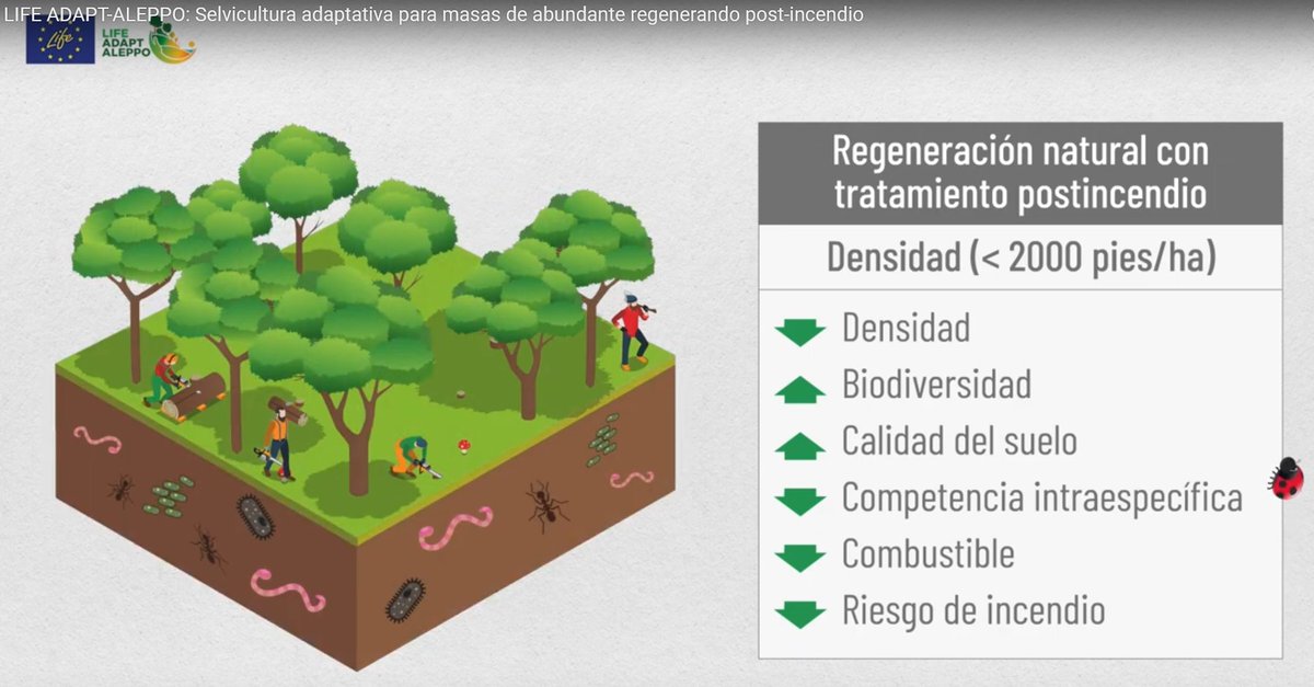 LIFE ADAPT-ALEPPO tweet media