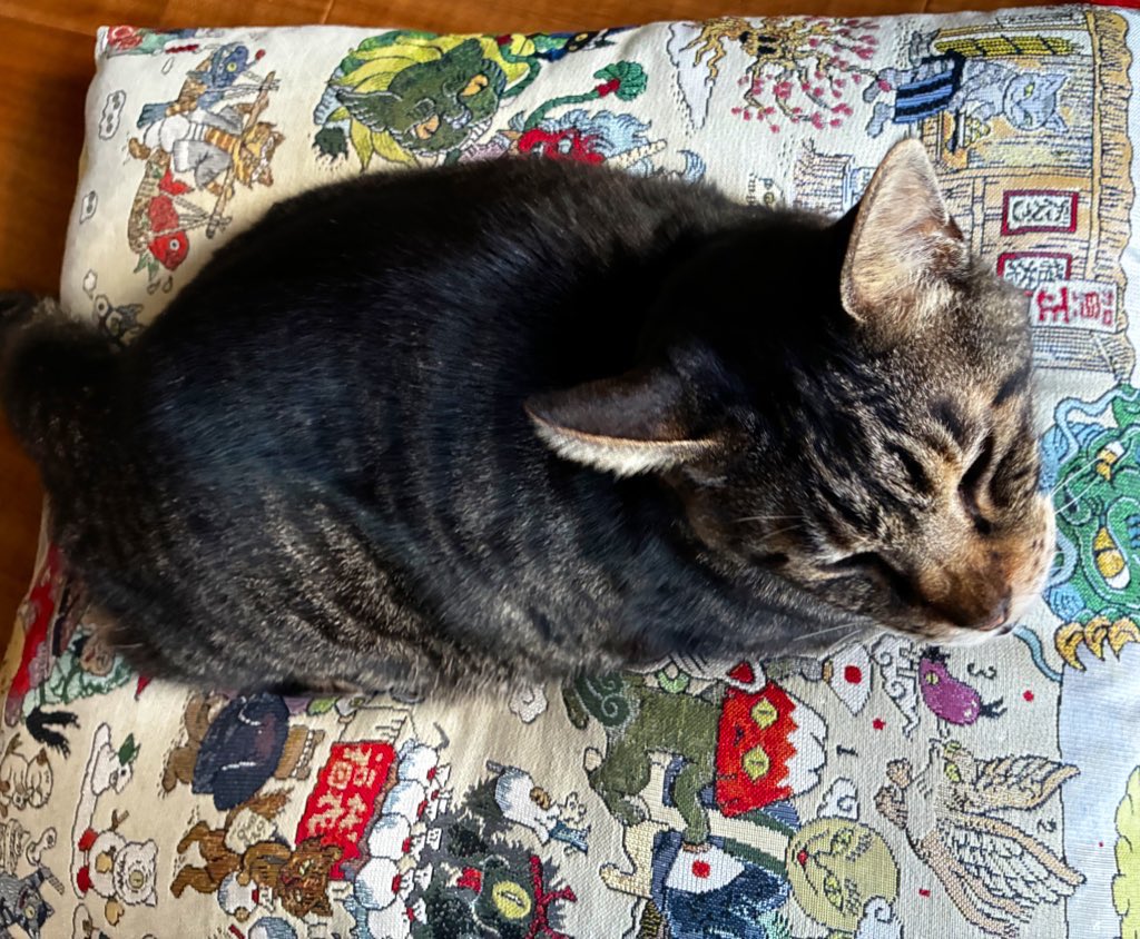 大好きな石黒亜矢子さんのファブリックセット当選しました😍ありがとう