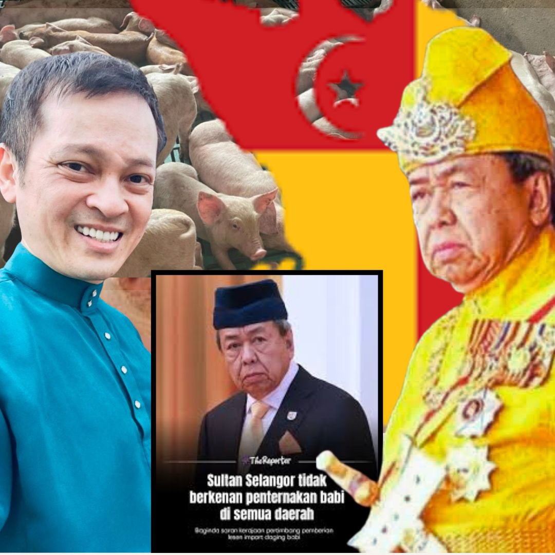 arminbaniaz's tweet photo. ISU BABI BELUM SELESAI WALAUPUN SULTAN SELANGOR SUDAH BERTITAH Oleh: Dr Armin Baniaz Pahamin

1. Apabila Sultan sudah bertitah, polemik sepatutnya tamat. Tetapi di Selangor, polemik masih berterusan. 

2. Dalam sistem Raja Berperlembagaan Malaysia, apabila Sultan menyatakan pendirian jelas mengenai arah dasar pentadbiran negeri, kerajaan wajib menghormati dan melaksanakan titah tersebut melalui mekanisme pentadbiran dan undang-undang yang sah. 

3. Yang boleh dibincangkan hanyalah cara pelaksanaan, tempoh peralihan dan pengurusan kesan ekonomi, tetapi bukan lagi prinsip arah dasar itu sendiri.

4. Namun selepas titah tersebut, masih muncul kenyataan politik dan tekanan awam yang cuba membuka semula ruang perbahasan seolah-olah keputusan asas masih boleh dirunding. 

5. Ini bukan lagi semata-mata isu penternakan. Ini isu kefahaman terhadap struktur Raja Berperlembagaan dan disiplin pentadbiran negeri.

6. Antara kenyataan yang mencetuskan polemik ialah apabila Menteri Perumahan dan Kerajaan Tempatan, Nga Kor Ming, menyatakan kerajaan negeri perlu berbincang semula dengan Sultan dan mengemukakan pelan.

7. Kenyataan sebegini memberi gambaran seolah-olah titah Sultan masih boleh dirunding dari segi dasar. Kenyataan seperti ini boleh ditafsirkan sebagai tidak menghormati kedudukan institusi Raja.

8. Dalam negara Raja Berperlembagaan, pendekatan ini berbahaya. 

9. Rundingan boleh berlaku mengenai mekanisme pelaksanaan, tempoh peralihan atau pampasan, tetapi bukan mengenai prinsip arah yang sudah dititahkan.

10. Selain itu, tokoh politik seperti Ronnie Liu dan beberapa suara politik lain turut menimbulkan naratif bahawa penutupan menyeluruh menjejaskan hak komuniti bukan Islam serta kebebasan ekonomi. 

11. Hujah ini cuba meletakkan isu ini sebagai konflik hak minoriti atau hak perniagaan. Tafsiran sedemikian tersasar daripada kerangka undang-undang sebenar. 

12. Semua aktiviti ekonomi tertakluk kepada lesen, zon guna tanah, kawalan kesihatan awam, peraturan alam sekitar serta keputusan dasar kerajaan negeri. 

13. Lesen perniagaan bukan hak kekal; ia adalah kebenaran bersyarat yang sentiasa tertakluk kepada perubahan dasar demi kepentingan awam.

14. Hujah yang sama juga dikemukakan oleh seorang pengamal media sosial Facebook, Ng Wei Teik, yang mendakwa pengharaman penternakan babi di mana-mana wilayah Malaysia memerlukan pindaan Perkara 8(2) Perlembagaan Persekutuan. 

15. Dakwaan ini tidak tepat dan berpotensi mengelirukan masyarakat. Perkara 8 melindungi warganegara daripada diskriminasi terhadap individu, bukannya memberi hak mutlak kepada mana-mana pihak untuk menjalankan sesuatu perniagaan tanpa kawalan kerajaan.

16. Dalam doktrin perlembagaan Malaysia, kesamarataan membenarkan pengkelasan munasabah selagi terdapat kaitan rasional dengan kepentingan awam seperti kesihatan, alam sekitar atau perancangan guna tanah. Oleh itu, sekatan terhadap sesuatu industri atas alasan dasar negeri bukanlah pencabulan Perkara 8.

17. Tambahan pula, di bawah struktur federalisme Malaysia, hal tanah, pertanian dan kerajaan tempatan berada dalam bidang kuasa negeri. 

18. Ini bermakna kerajaan negeri mempunyai kuasa perlembagaan untuk menentukan dasar guna tanah, mengawal aktiviti pertanian dan menetapkan syarat pelesenan. 

19. Pelaksanaan dasar sebegini bukan diskriminasi, tetapi fungsi asas pentadbiran negeri dalam melindungi kepentingan awam.

20. Malah kenyataan dari beberapa pimpinan parti seperti MCA yang menekankan keperluan modernisasi, pematuhan teknikal atau penyelesaian berfasa juga pada asasnya menolak pendekatan penghentian menyeluruh secara prinsip. 

21. Sekali lagi perlu ditegaskan bahawa dalam struktur pentadbiran negeri, lesen perniagaan adalah kebenaran bersyarat yang boleh diubah, tidak diperbaharui atau ditarik balik apabila dasar negeri berubah demi kepentingan awam.

(1/2) Bersambung

https://t.co/0pSlstgCQC