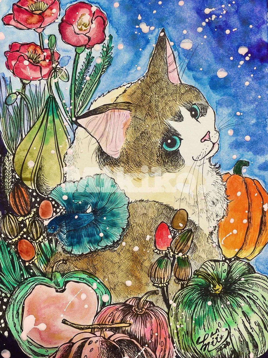 jsmtmmm's tweet photo. ホルベインさんにはいつもお世話になっておりますm(_ _)m💞

 #ホルベイン猫の日 https://t.co/KZ2c8nirMj