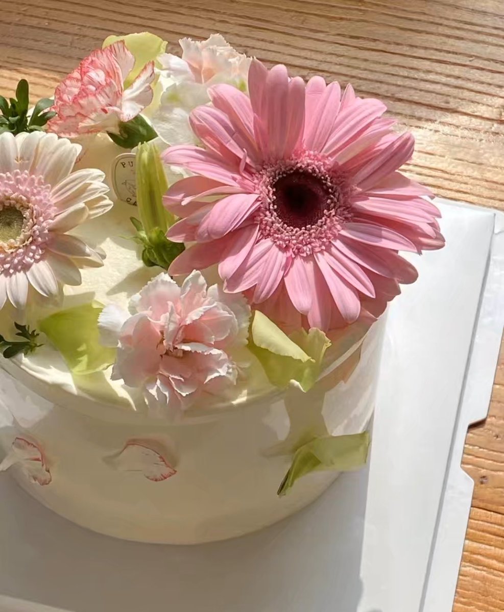 푸린🐣 tweet media