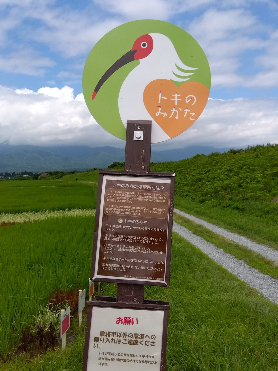 日本の種子（たね）を守る会 tweet media