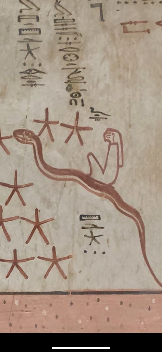 TIRBY 🐎 tweet media