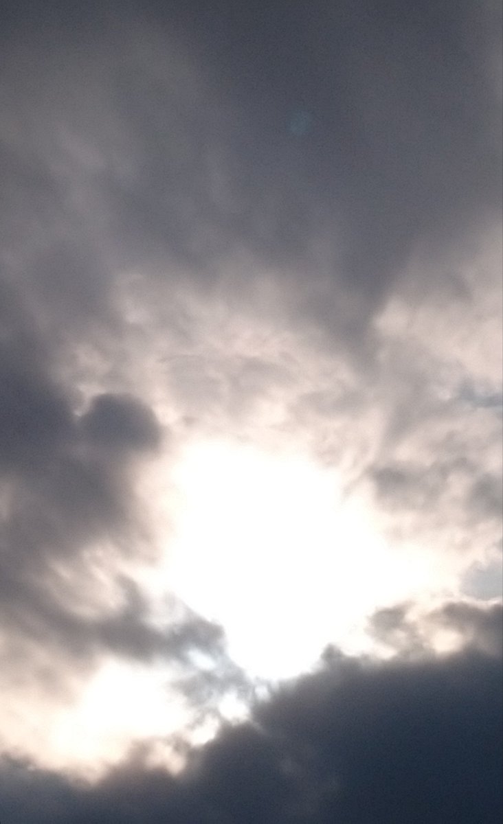 キセキれいたん🐦️🌞 tweet media