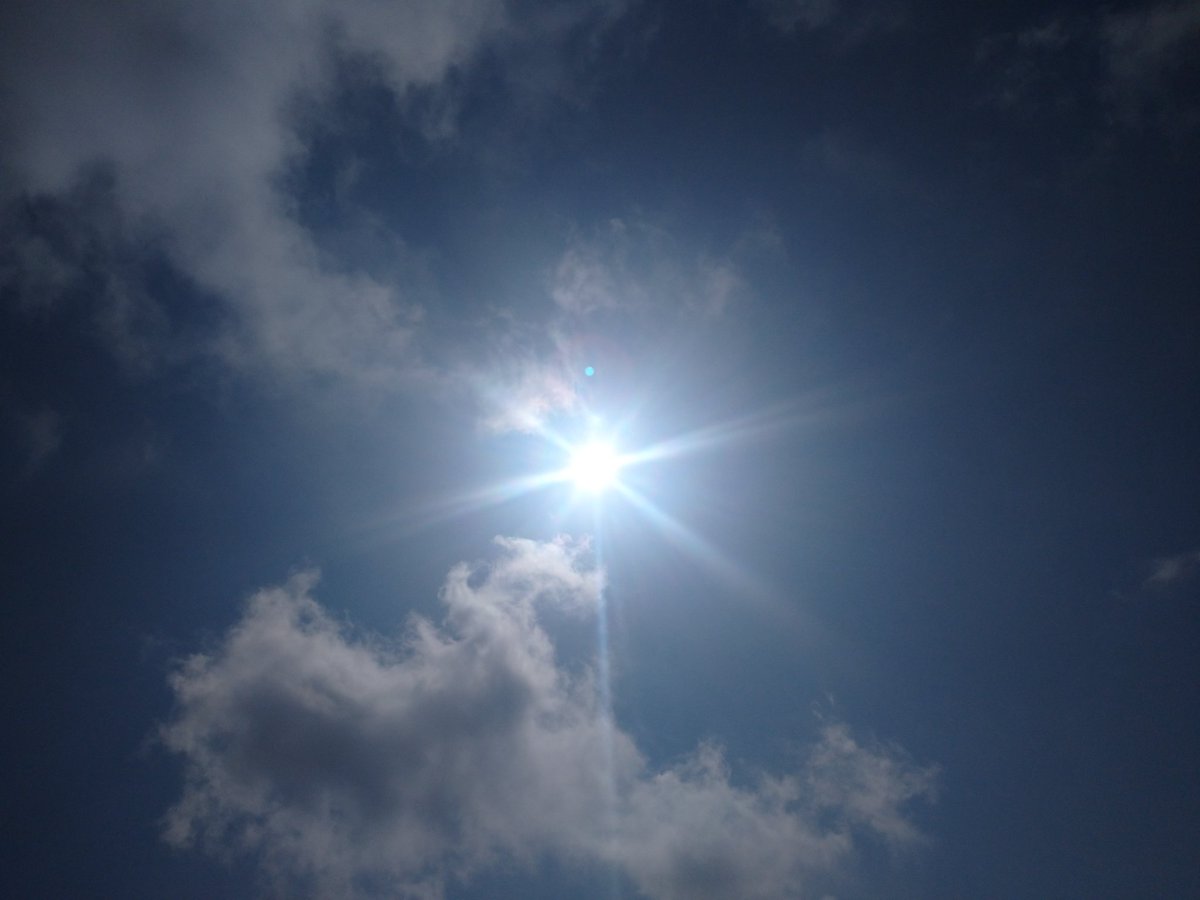 キセキれいたん🐦️🌞 tweet media