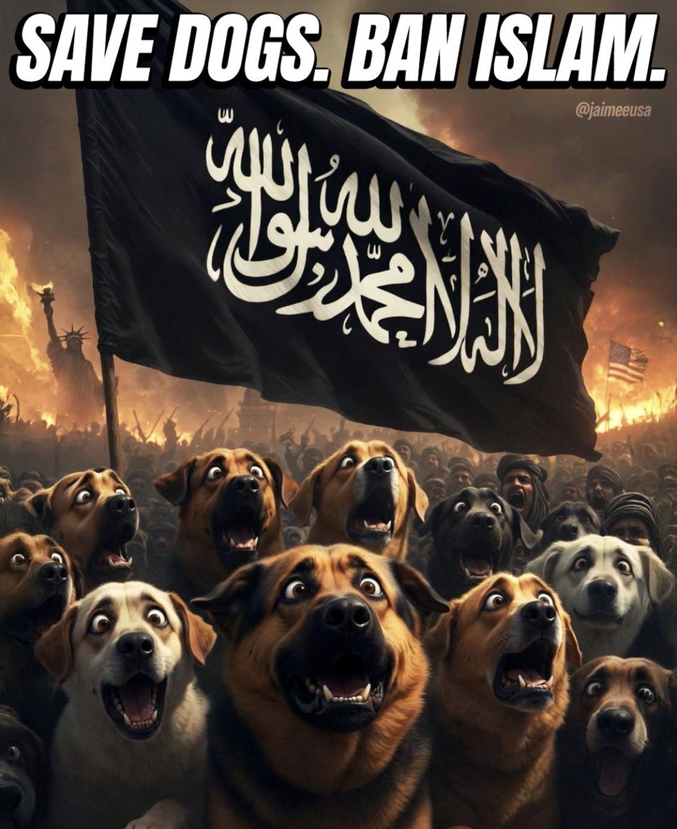 DVATW's tweet image. Agreed ✅