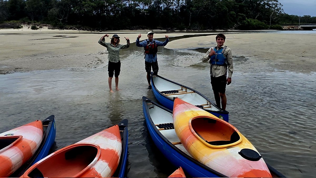 Andrew SMEE tweet media