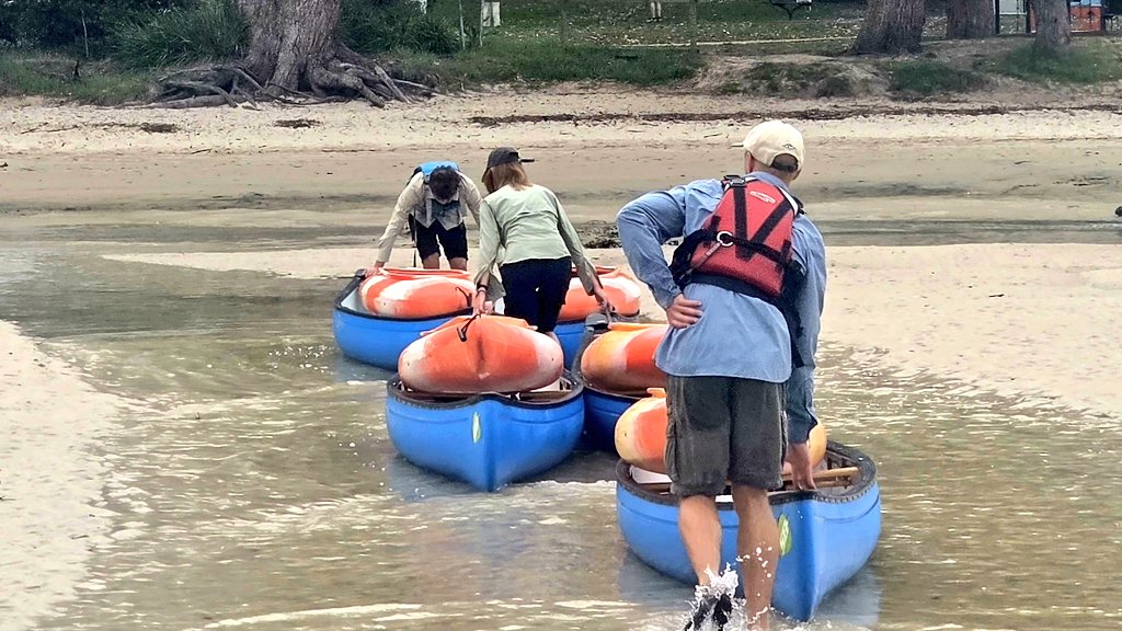 Andrew SMEE tweet media