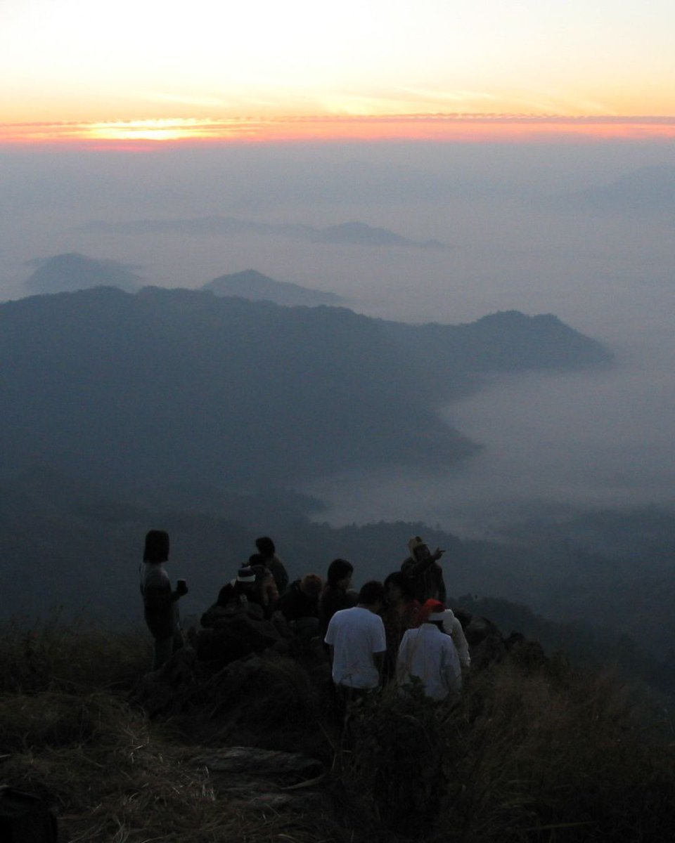 Daniel Fraser tweet media