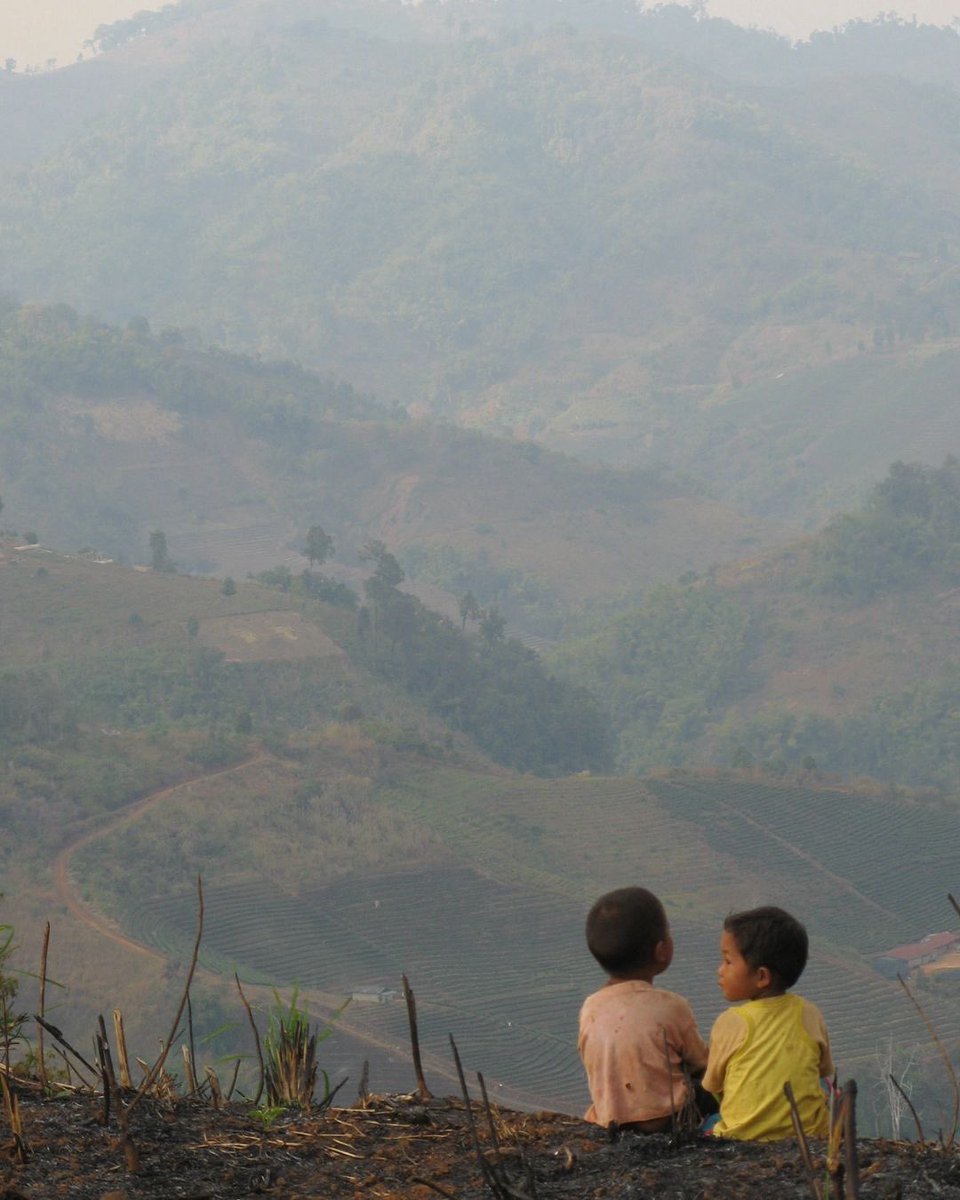 Daniel Fraser tweet media