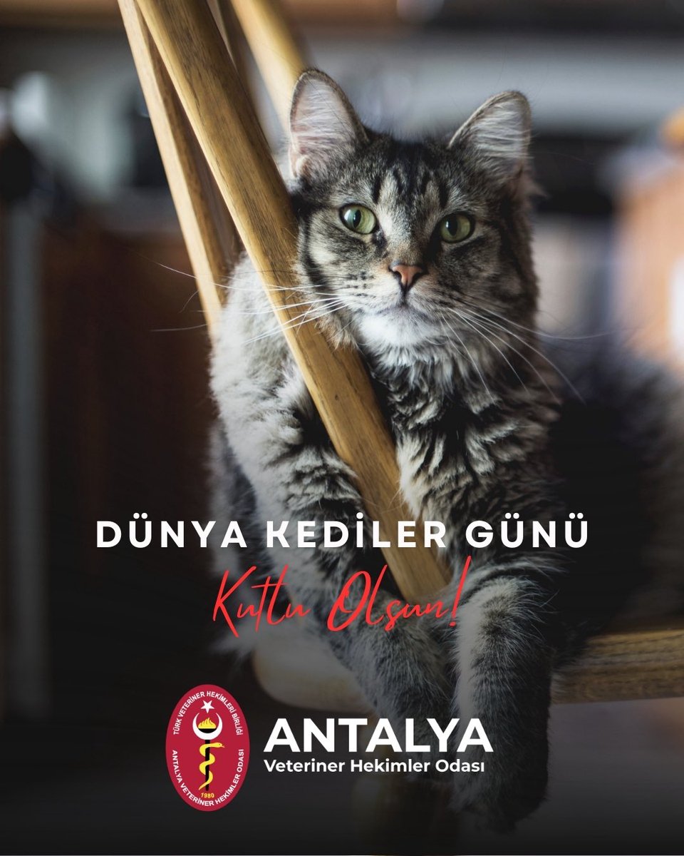 Antalya Veteriner Hekimler Odası (@antalyavho) on Twitter photo 