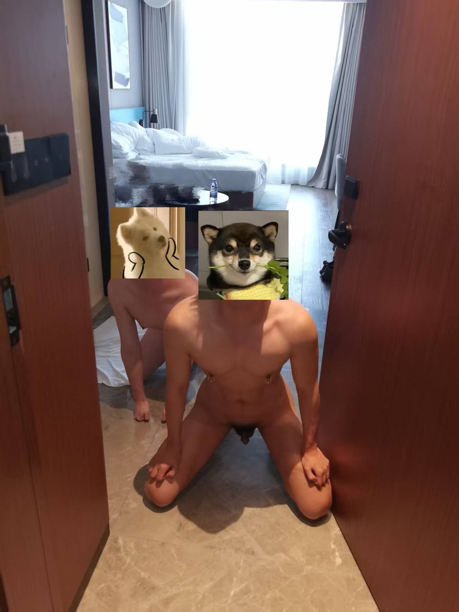 哈᳐奇᳐ ೨ tweet media