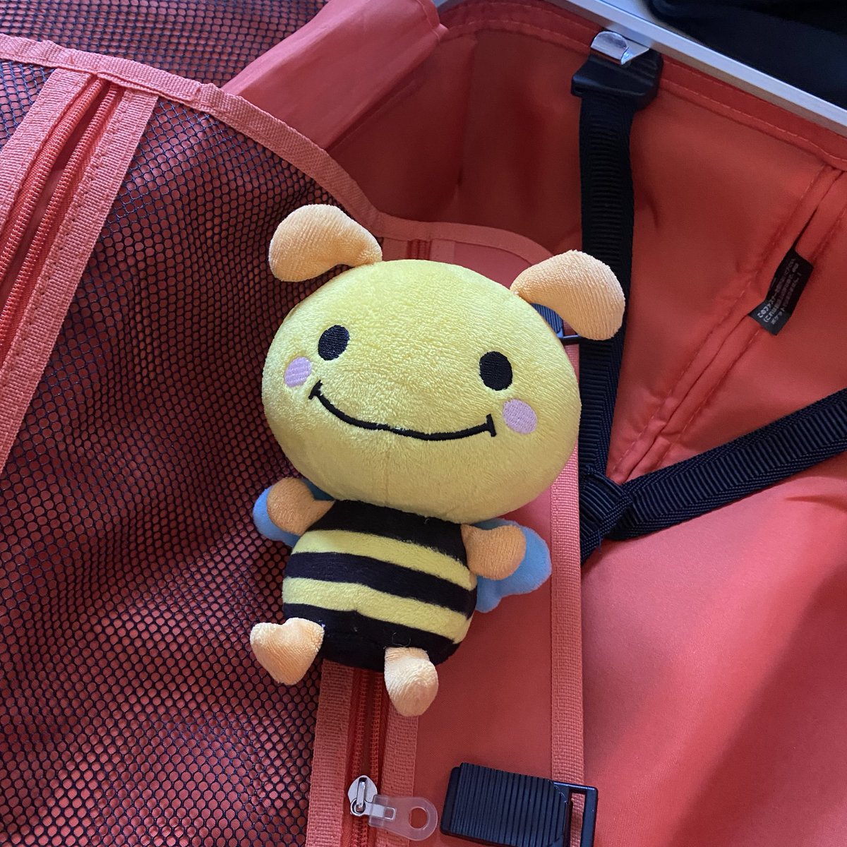 ミツバチみっちゃん【公式】 (@gs_micchan) / Posts / X