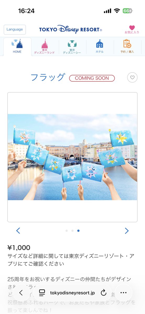 フラッグ セット売り無し完全バラ売りかー！？！？