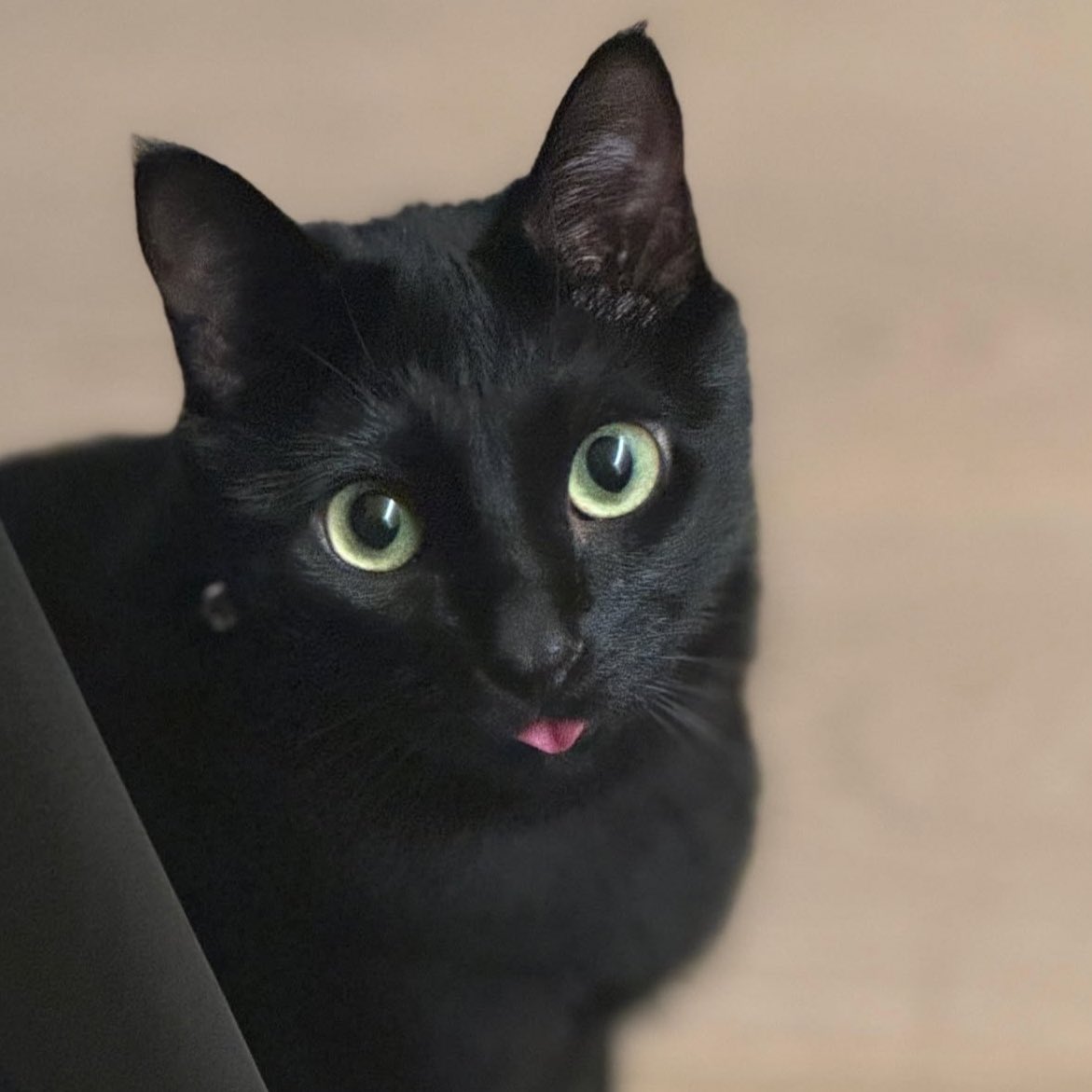 7forevers's tweet image. like father like son