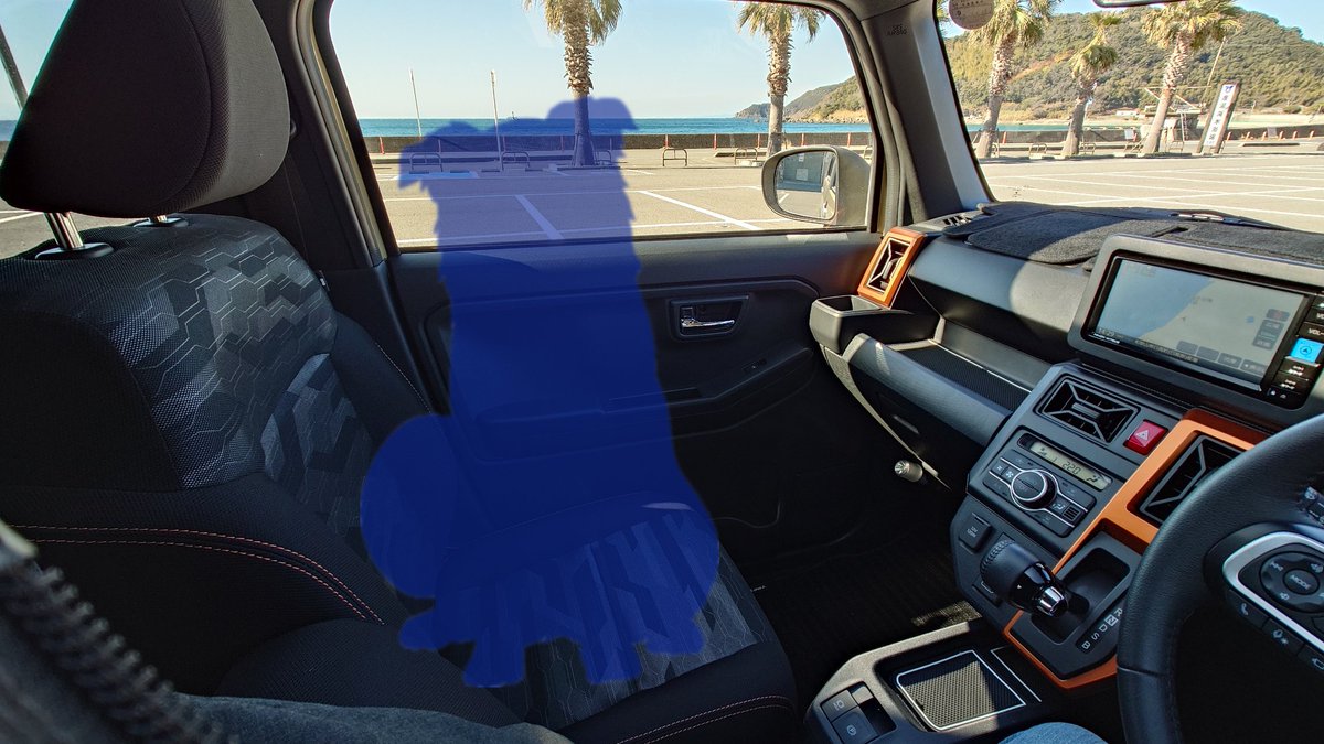 隣にボーダーコリーを乗せてドライブに行く幻視