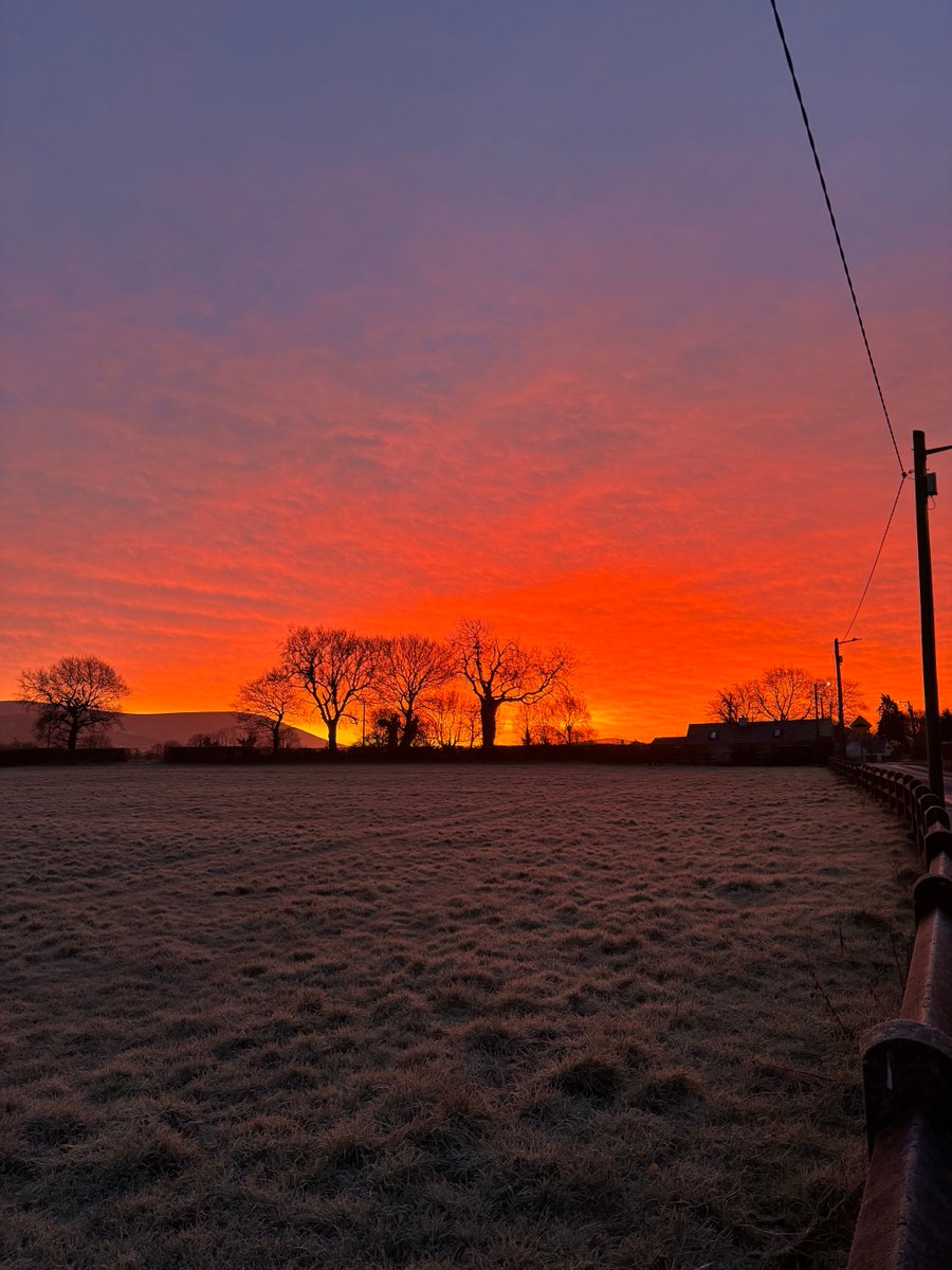 Brendan Doogue tweet media