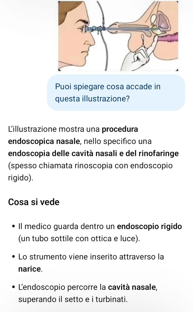 VITTORIO GABRIELE tweet media