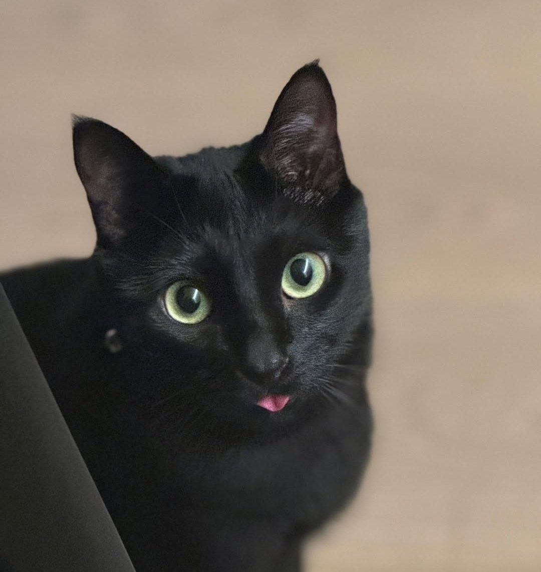 we're never seeing yoongi's face ever again. 
this is the new yoongi.