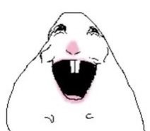 magoluvs's tweet photo. my face whenever gfriend is mentioned in a kpop post https://t.co/LVv4cJSxXF