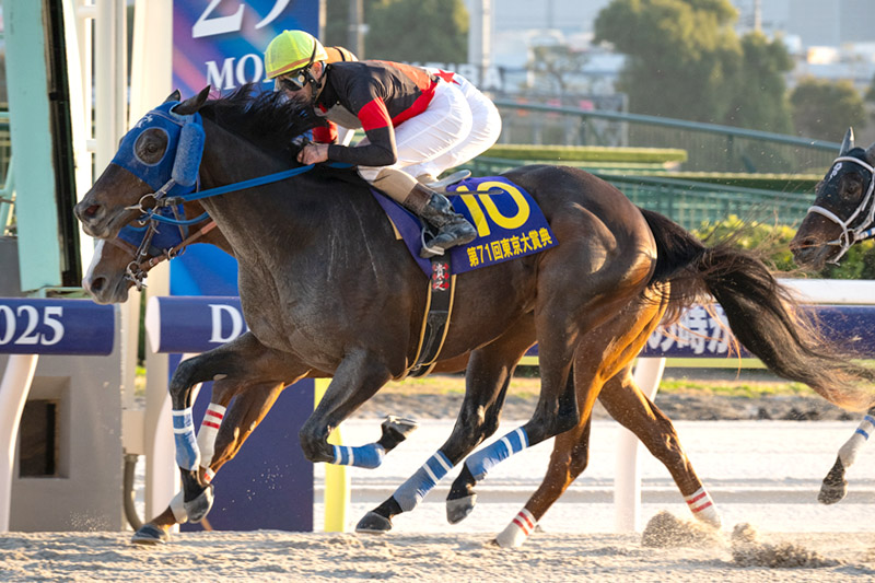 💐TCK大賞💐

2025年に優秀な成績をおさめた #TCK 所属人馬を表彰する「2025TCK大賞」の受賞人馬が決定 ！

栄えあるTCK大賞 (最優秀賞) は、#ディクテオン (#荒山勝徳 厩舎) が受賞しました✨

関係者の皆様、おめでとうございます🎉

▼詳細
tokyocitykeiba.com/news/71226/