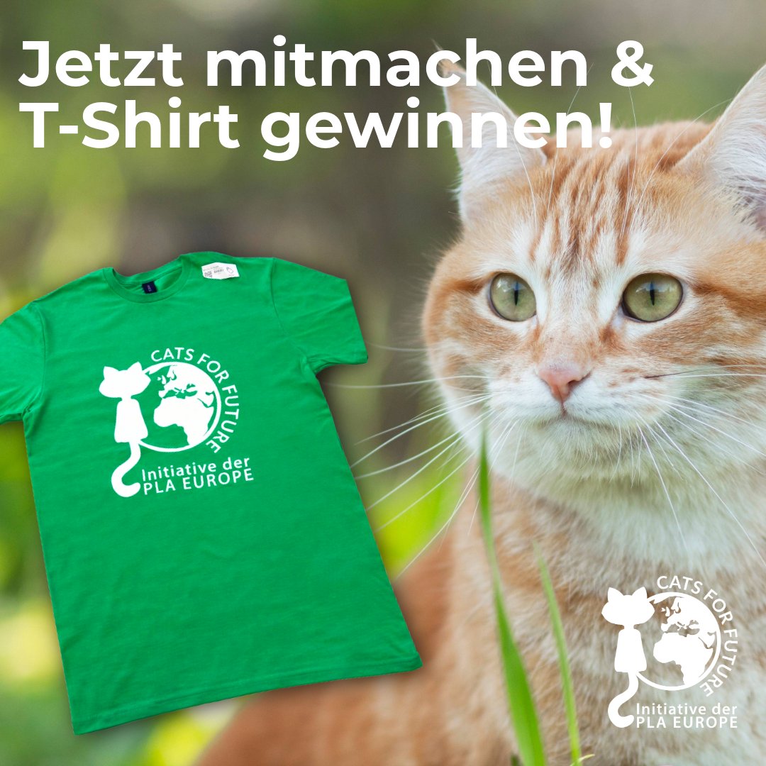 Cats for Future tweet media