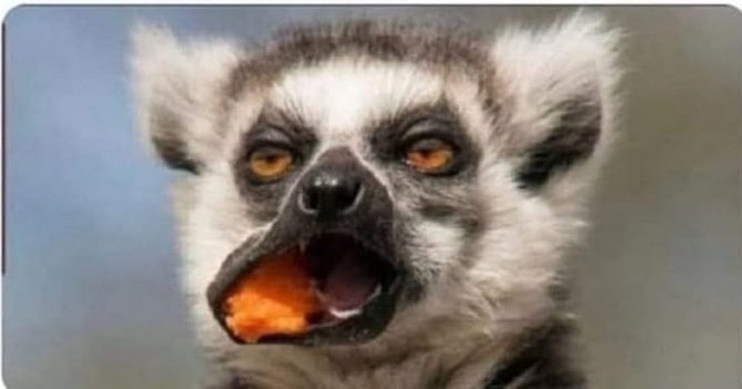 JassyHay's tweet photo. Yesterday, one visitor came and shocked me 😂
I offered him juice and he said, “I’ll drink it after eating.”
After eating what, sir? Cox I don't get https://t.co/tPcAX6u8Lm