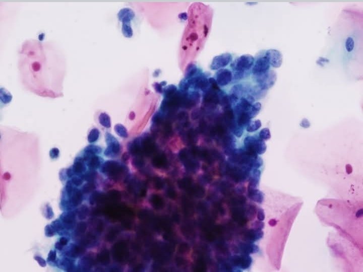 Benard Solomon tweet media