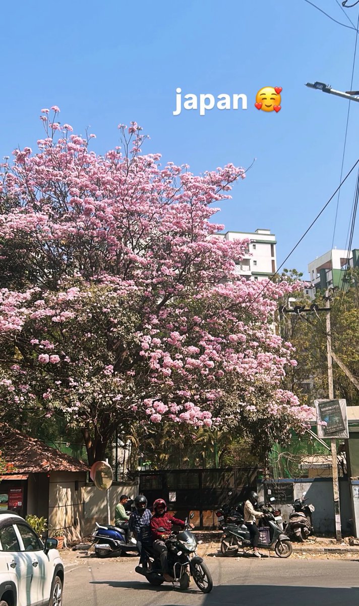 Kulfei's tweet image. Namma japan tumba sundaravagide