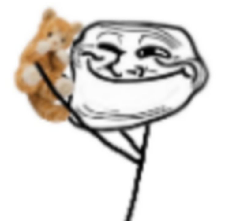 モラ🍓 tweet media