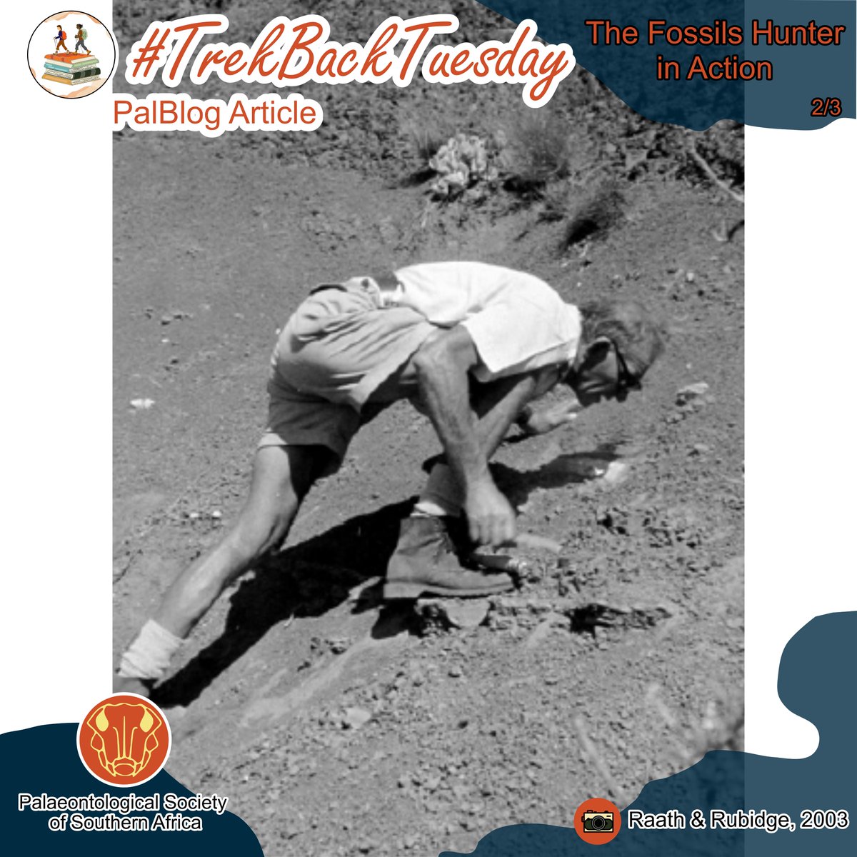 PalPSSA's tweet photo. James William Kitching’s legacy was built not only in lecture halls, but in the Karoo itself. 🧭
Part 2 of our 𝐓𝐫𝐞𝐤 𝐁𝐚𝐜𝐤 𝐓𝐮𝐞𝐬𝐝𝐚𝐲 tribute to James Kitching.
#TrekBackTuesday #FieldworkLife #ScientificLegacy https://t.co/254msxZd5T