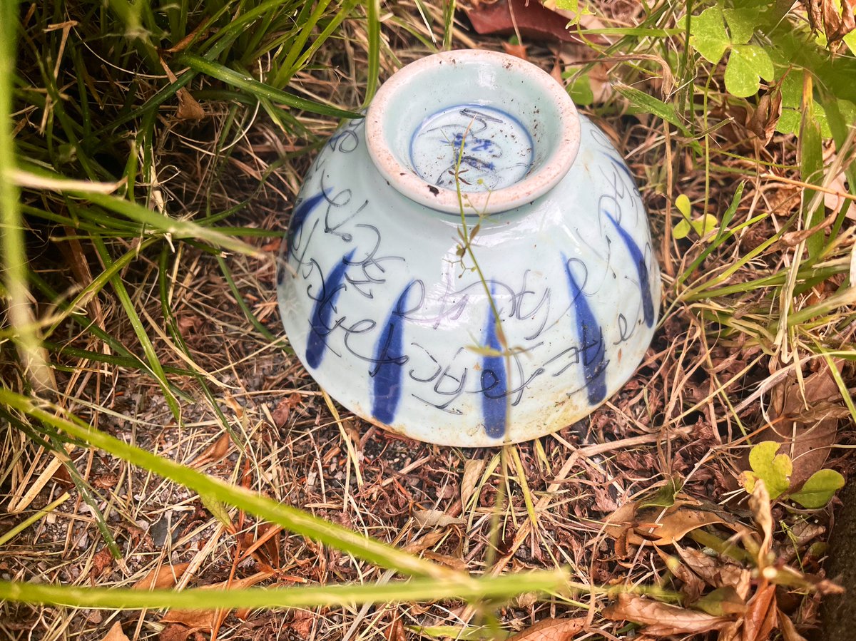 おはよー世界💪
これは公園に落ちてたマジモンの呪物