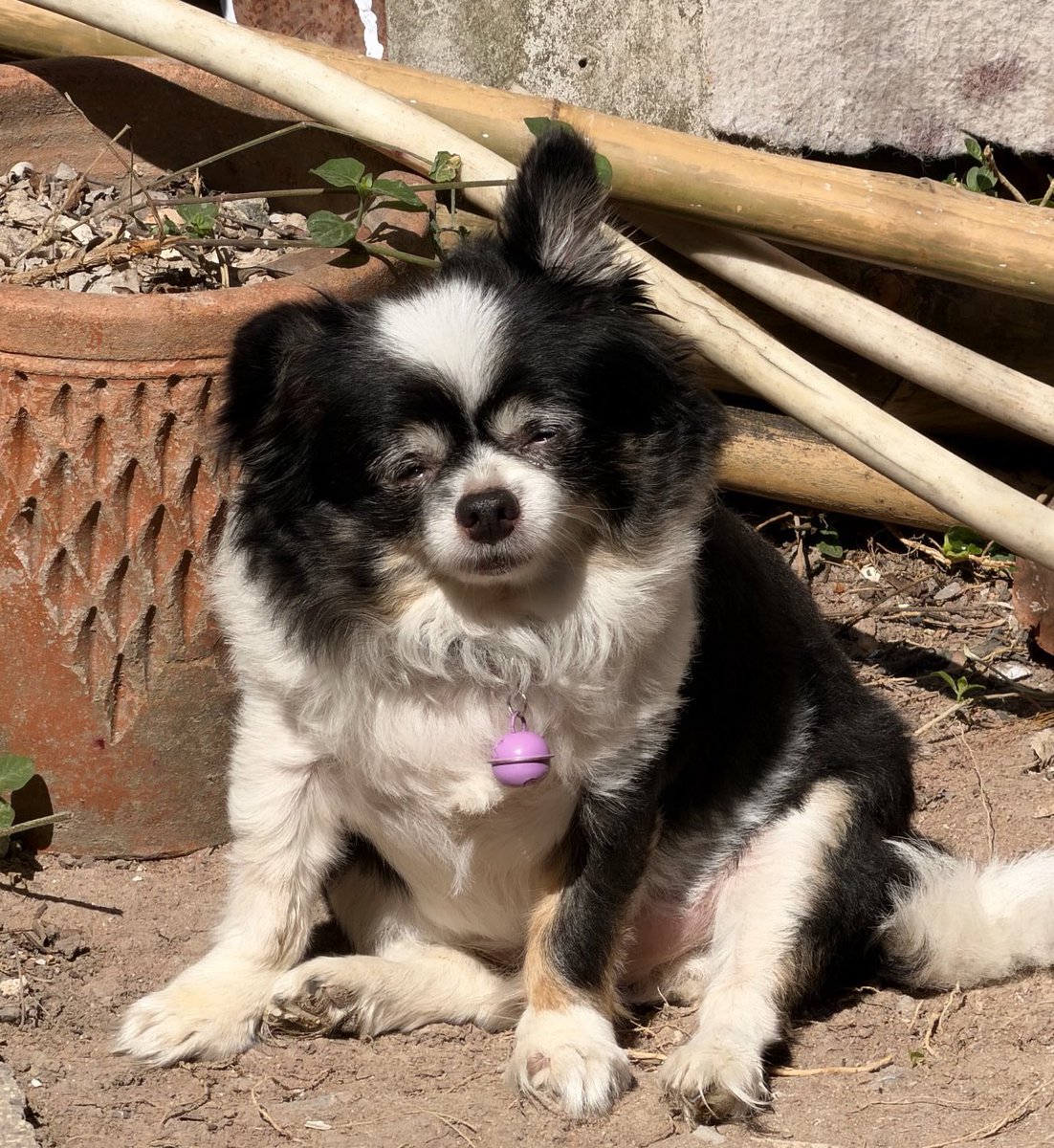 55555555555555555555555555