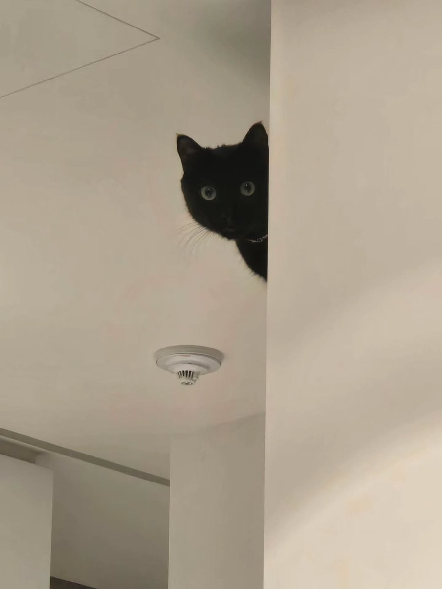 question, how is he floating.