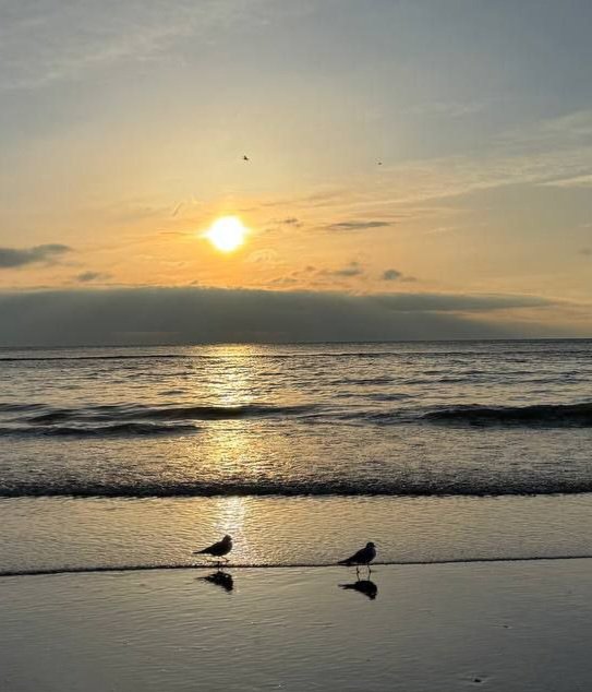 Катерина Галич tweet media