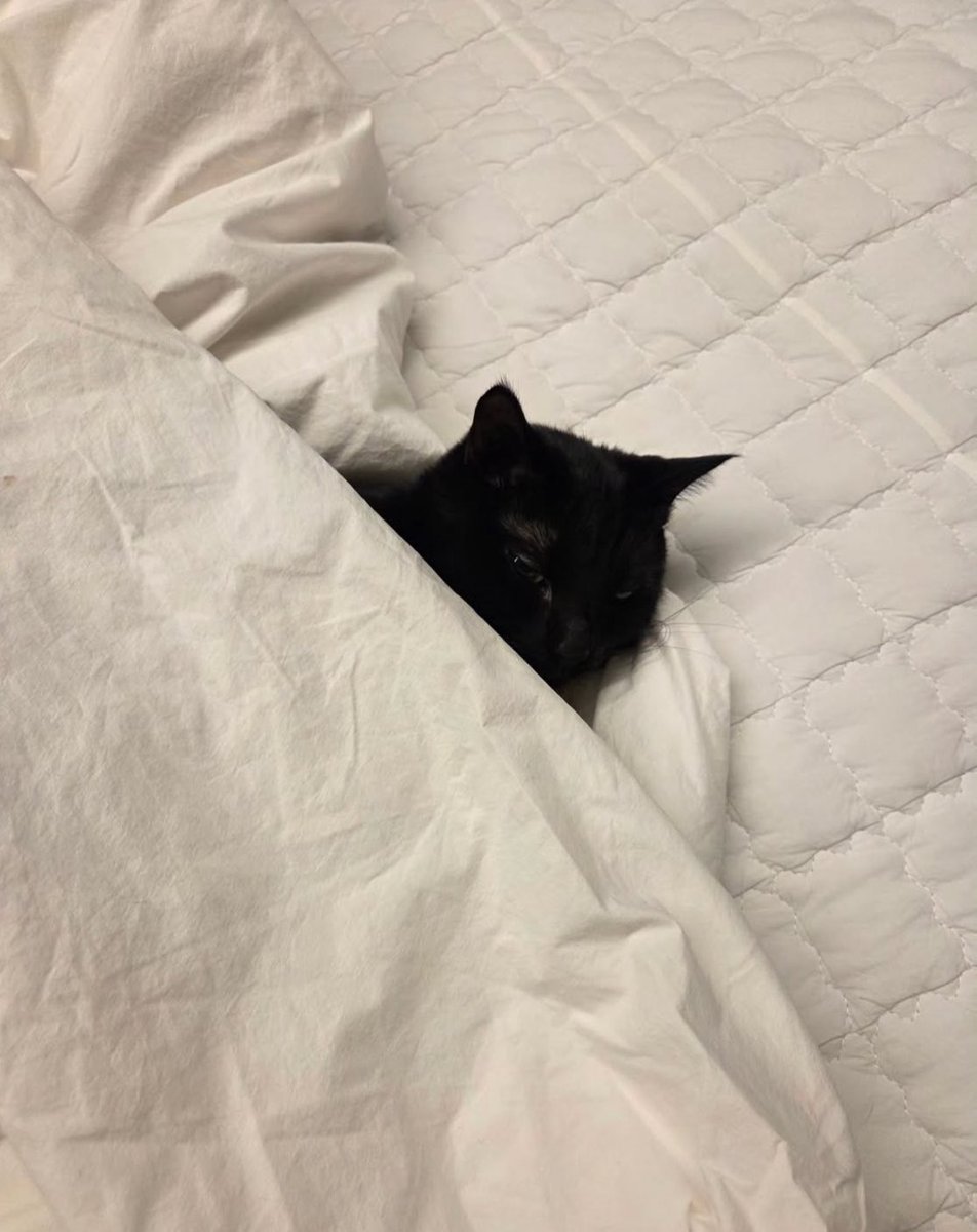 offon_of's tweet image. 이 정도면 탕이가 활동하는 거 아닌가요