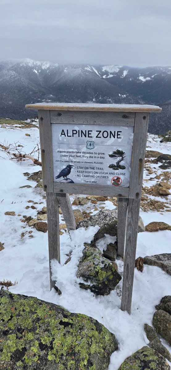 Sean Conway tweet media